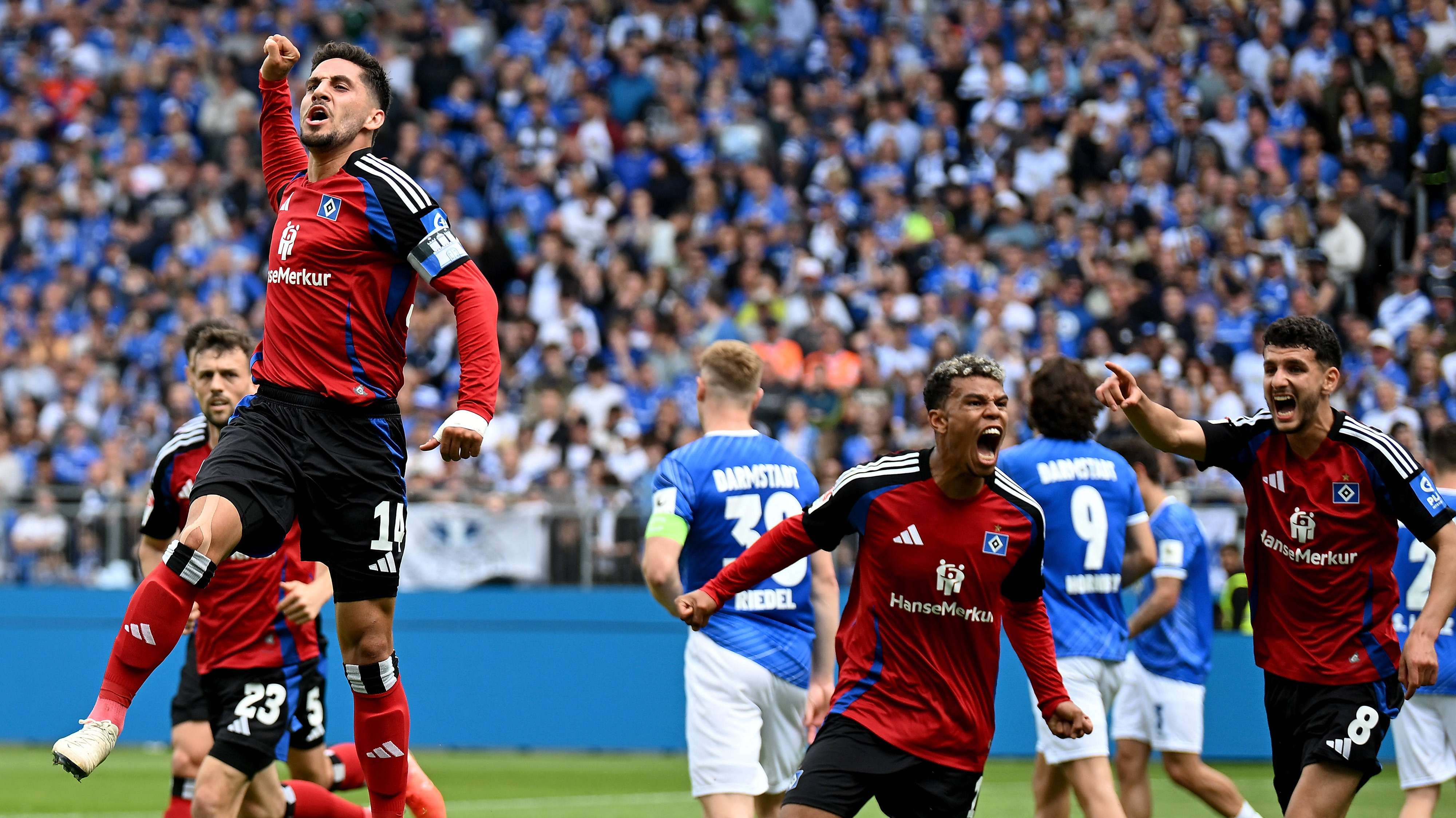 Ludovit Reis HSV
