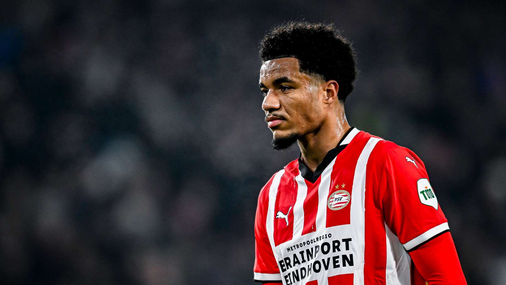 Kruid Voor Een Amerikaanse Staat Cryptisch