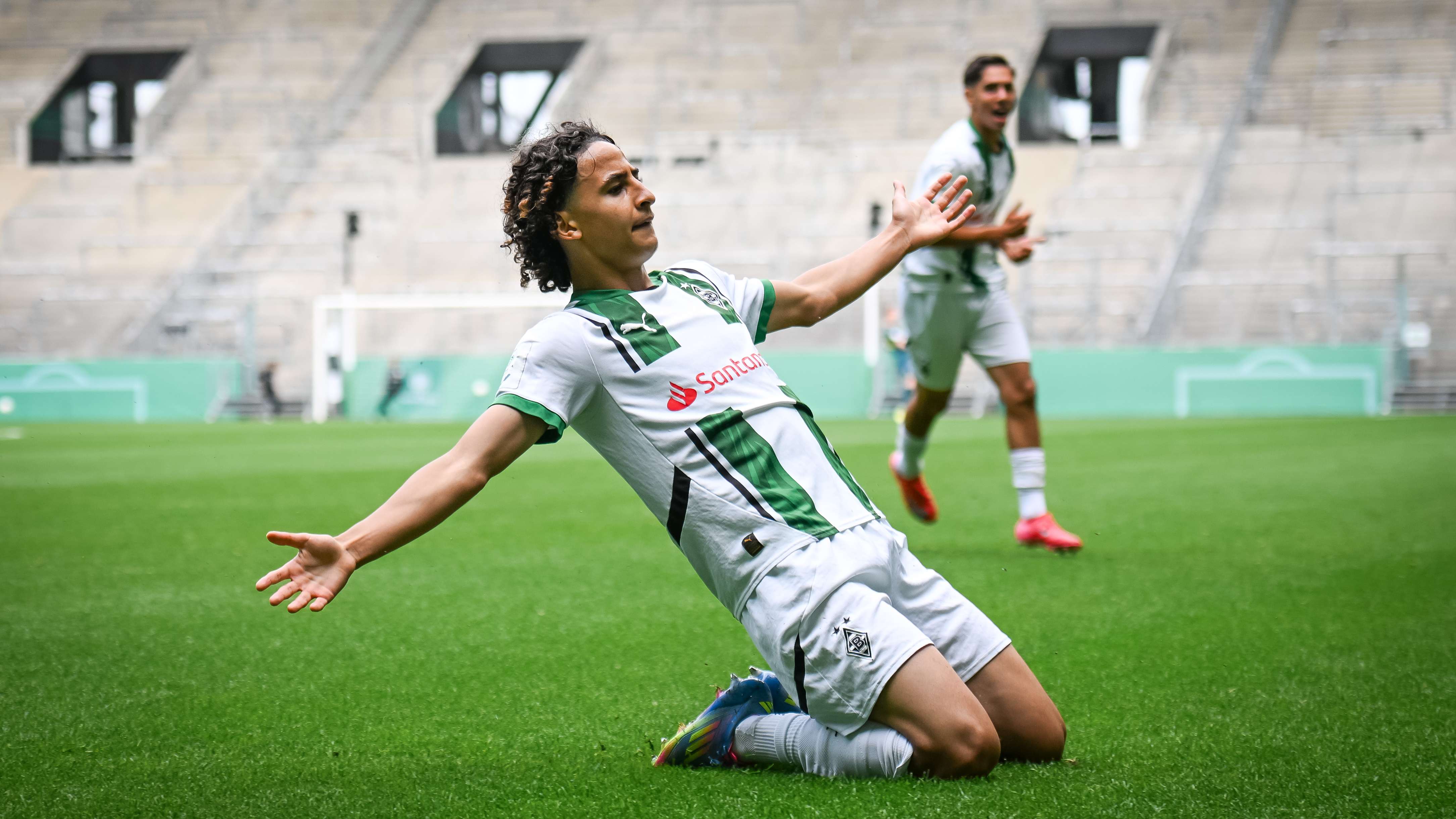 Wael Mohya
