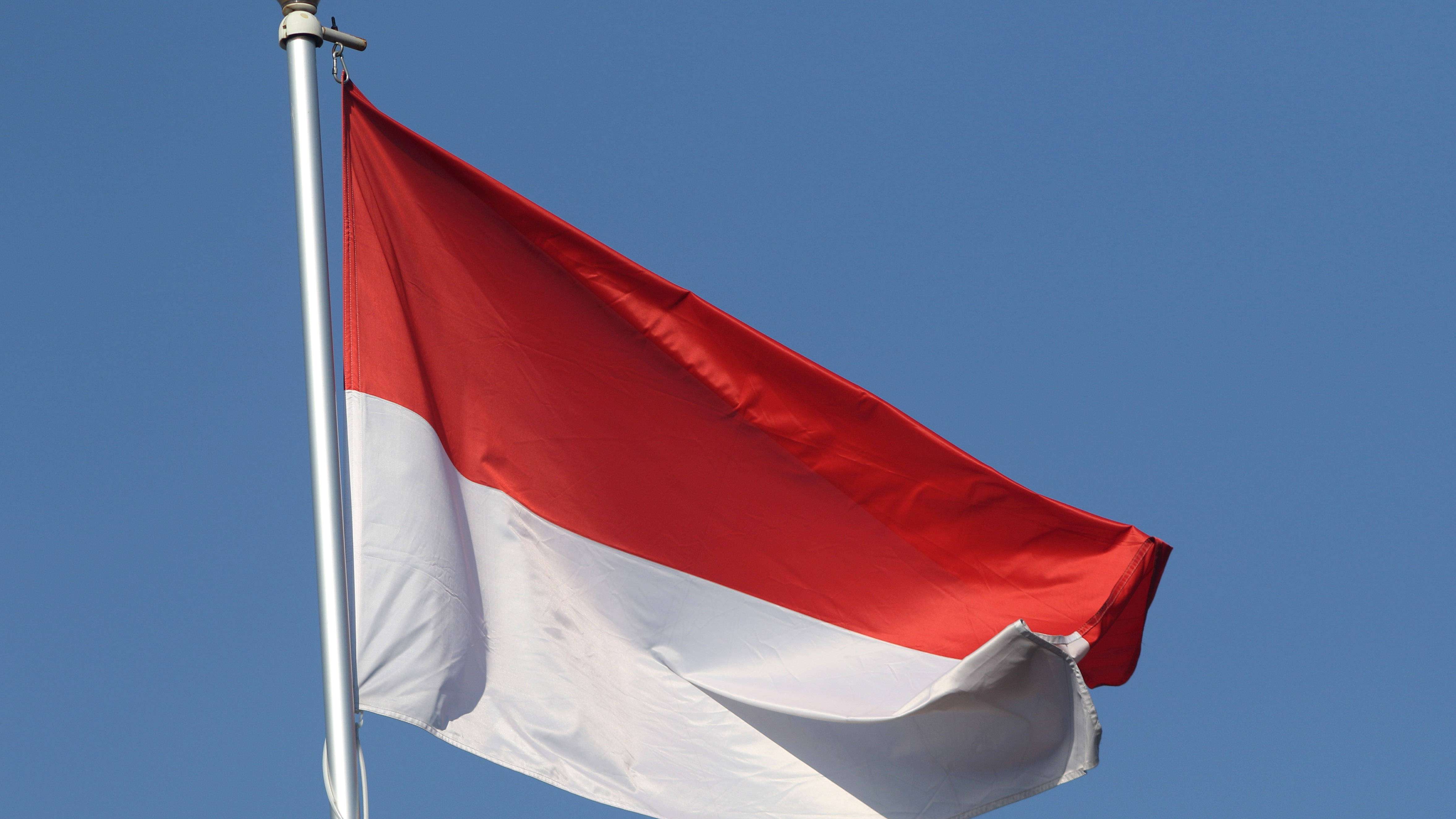 Indonesie vlag