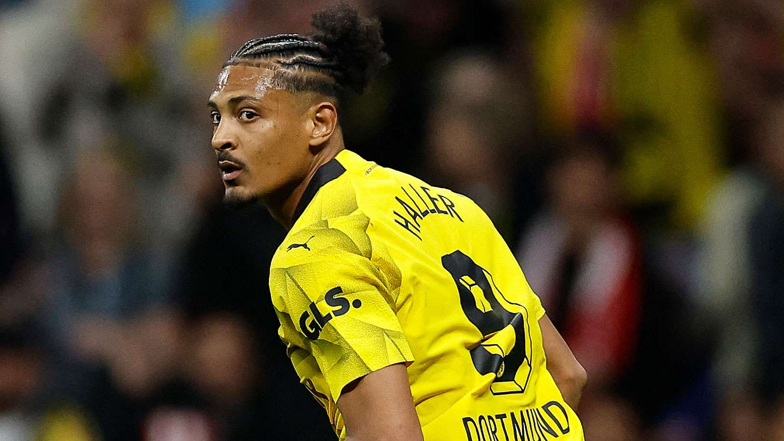 Sebastien Haller Borussia Dortmund BVB 2024